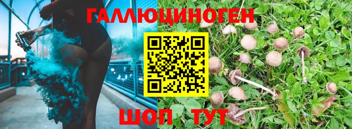 Тулун  Галлюциногенные грибы мухоморы  Вход с VPN 