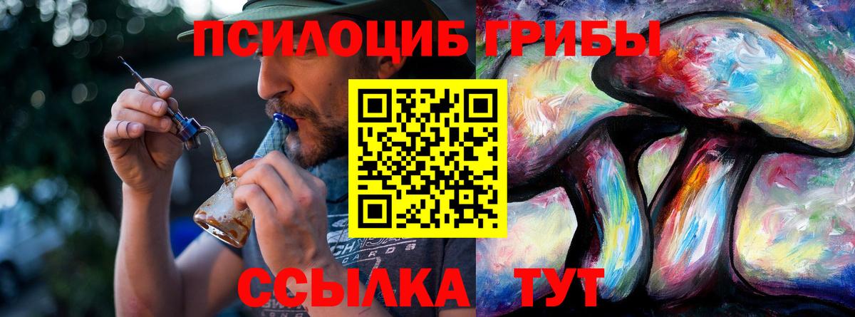 Псилоцибиновые грибы Psilocybine cubensis Тулун